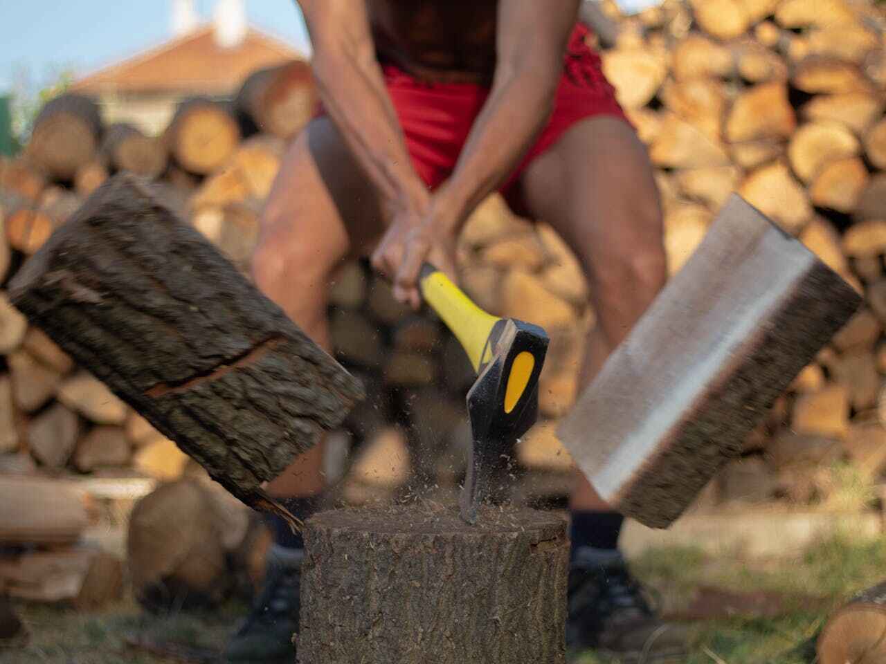 Best Tree Cutting Near Me  in Crestview, FL